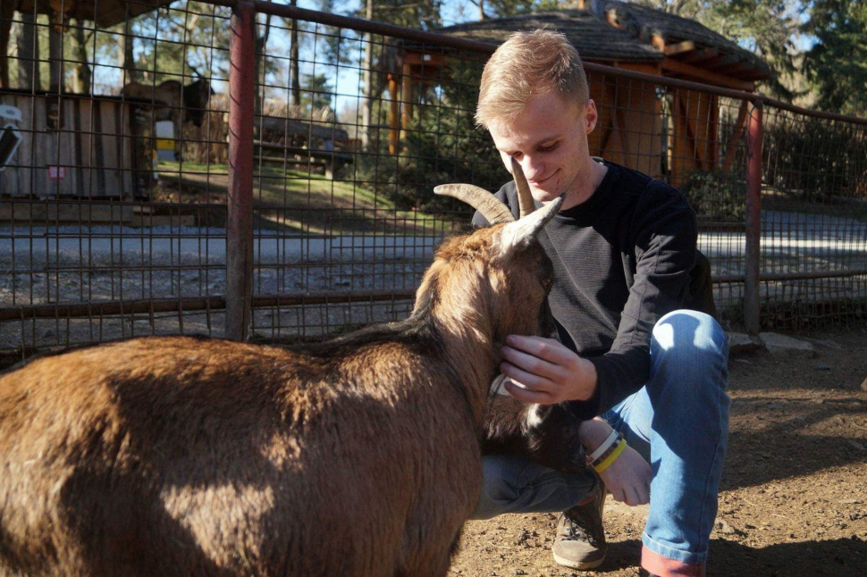 Olomouckou zoo loni navštívilo nejvíce návštěvníků za deset let