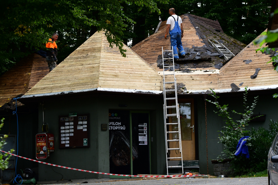 Olomoučtí netopýři se dočkají nového ubytování v zoo