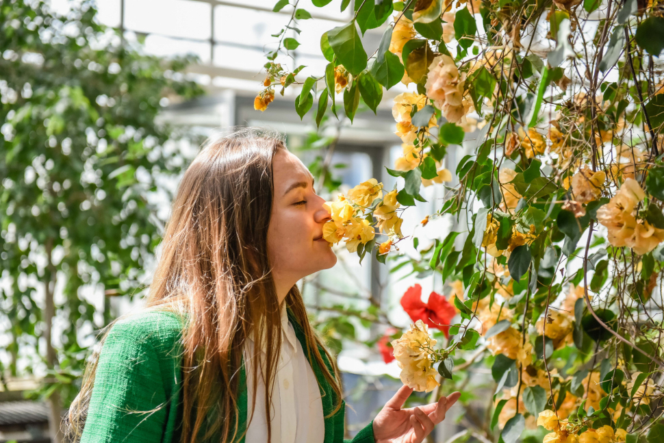 Výstava Flora Olomouc vezme návštěvníky do Galaxie květin