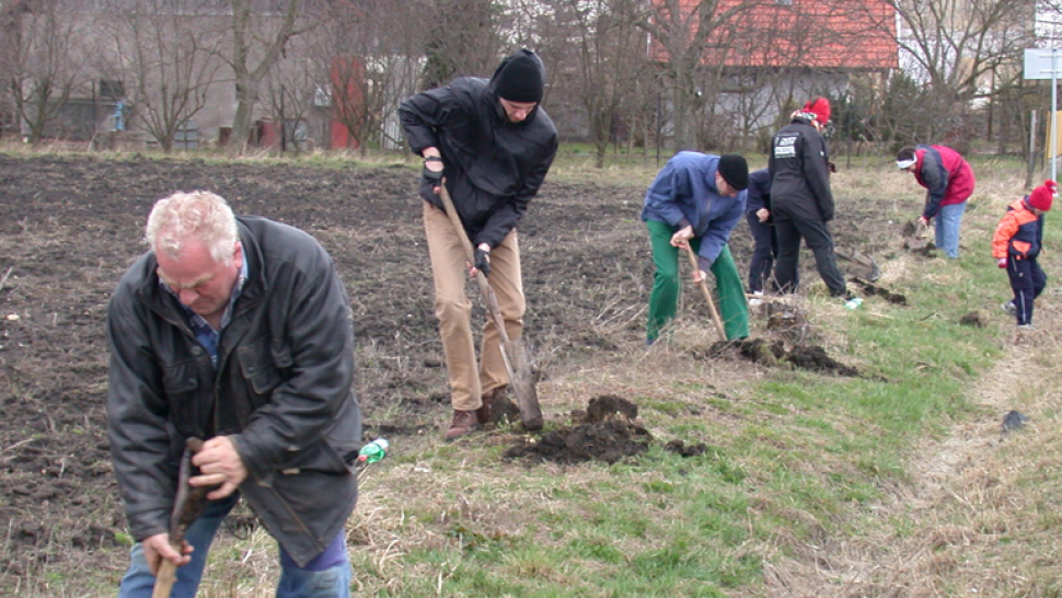 Šternberk hledá patrony stromů v nové aleji, přispějí charitě